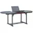 vidaXL Gartentisch 200 x 100 x 75 cm Grau