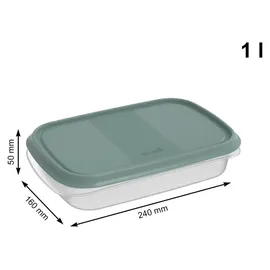Rotho Frischhaltedose grün 6-teiliges Set