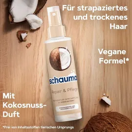 Spülung Schauma Sprüh Spülung Repair und Pflege