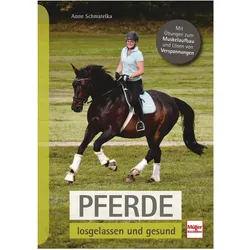Pferde losgelassen und gesund