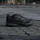 adidas Duramo SL 2 Herren Core Black/Core Black/Core Black 46 2/3
