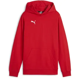 Puma teamGOAL Casuals Hoody Jr in rot - 152
