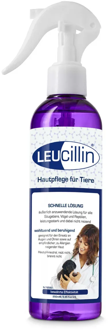 grau Leucillin Spray Nahrungsergänzung 250 Milliliter