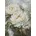 Kreuzstich 29x40cm