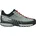 conifer/grey