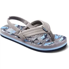 REEF Little Ahi, Tan sharks 4