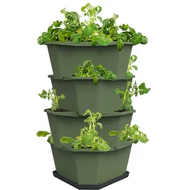 Gusta Garden Paul Potato 44 x 44 x 65 cm Dunkelgrün