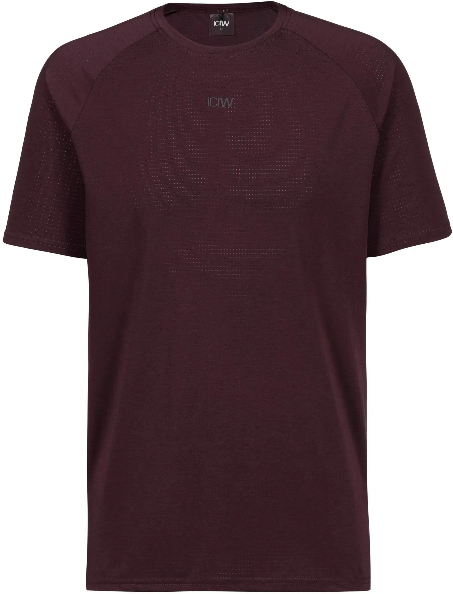 ICANIWILL Stride Funktionsshirt Herren in dark mahogany, Größe L - rot