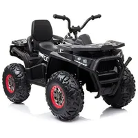 Wisam® Elektro Quad XMX607 schwarz (onesize)