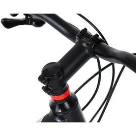 KS-Cycling KS Cycling Mountainbike Hardtail 29"