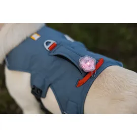 Ruffwear Web Master Hundegeschirr Slate Blue XXS