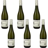 Hans Baer Cabernet Blanc, trocken, 2023, sortenreines Weinpaket (6x0,75l)