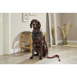 Wolters Professional Comfort Hundegeschirr rost rot 45-50 cm