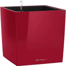 LECHUZA Cube 40 Komplettset 40 x 40 x 40 cm rot hochglanz