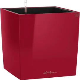 LECHUZA Cube 40 Komplettset 40 x 40 x 40 cm rot hochglanz