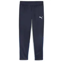 Puma teamGOAL Trainingshose Blau XL