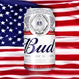 12 x Dosen amerikanische Bud Beer 0,33l das bekanntes Bier der USA mit 5% Alc - 3.96 l