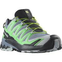 Salomon XA Pro 3D V9 Herren flint stone/green gecko/black 43