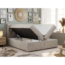 MKS Meble Boxspringbett 200 x 200 cm H4 Beige