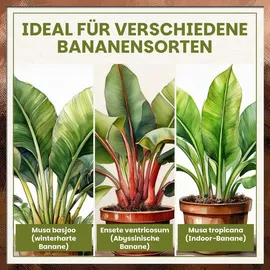 Franken Pflanzenerde 18 l