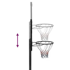 vidaXL Basketballständer Transparent 256-361 cm