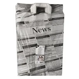 Papstar 50 Tragetaschen, Papier mit Tragegriff