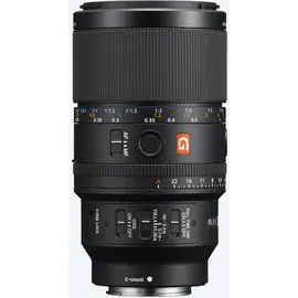 Sony SEL 100 mm F2,8, Bildstabilisator, Makro-Objektiv, Sony FE-Mount