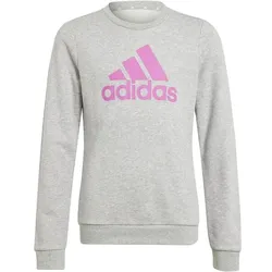 ADIDAS Kinder Sweatshirt Essentials Big Logo, MGREYH/SELUFU, 152