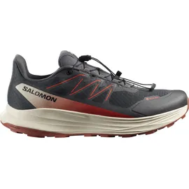 Salomon ALPHARIDE 2 Herren Asphalt/Arabian Spice/Rainy Day 44,5
