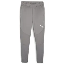 Puma teamFINAL Trainingshose Herren 13 cast iron/silver S