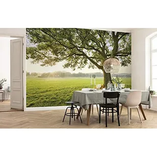 KOMAR Vlies Fototapete The Magic Tree