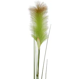 I.GE.A. Kunstpflanze I.GE.A. "Pampas", grün, B:13cm H:125cm L:10cm, Obermaterial: 85% Kunststoff, 15% Polyester, Kunstpflanzen, Kunstpflanze, Pampasgras, Boho, 2er Set