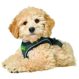 Hunter Hilo Comfort Hundegeschirr Anthrazit XXS-XS