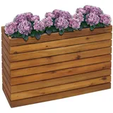 Proregal Pflanzkasten 63 x 41 x 23 cm Braun