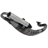 GIANNELLI Rekord Auspuffanlage für Scooter Nitro 50/Aerox 50 Grau/Silber