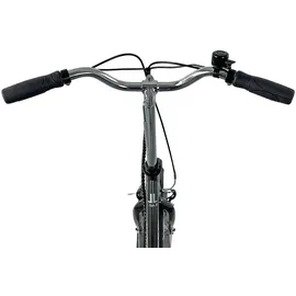 Llobe Pure 20 Zoll RH 43 cm schwarz