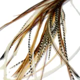 One Fine Day Feathers Feder-Haarverlängerung, echte Federn für Haar, 22-33 cm - Mixed Naturals (10 Federn)