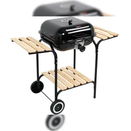 LUND Holzkohlegrill 45x40 cm bunt