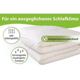 franknatur Winterdecke Bettdecke 135x200 Lyocell Bio Baumwolle Winter