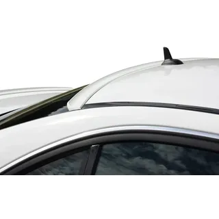 RDX Racedesign RDHL487 Hecklippe, Anzahl 1