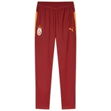 Puma Galatasaray Istanbul Pockets Jogginghose Rot 176