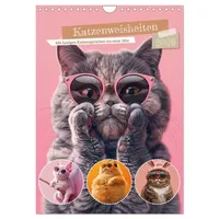 Calvendo Katzenweisheiten (Wandkalender 2026 DIN A4 hoch), CALVENDO Monatskalender