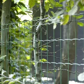 BETAFENCE Gartenzaun 2500 x 81 cm Blau/Kunststoff