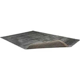 Astra Teppich Sam D.250 C.040 grau 160x230 cm