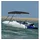 vidaXL Bimini-Top 4-Bow 243 x 180 x 137 cm Schwarz