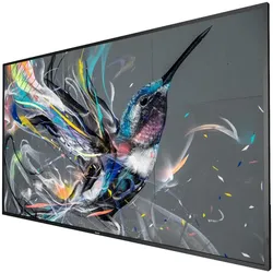 Philips 65BDL3511Q Signage Display 163,9 cm (55 Zoll)