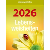 Draper 254226 Projektionsleinwand 2,87 m (113") 16:10