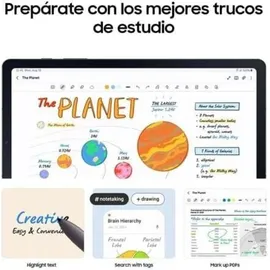 Samsung Galaxy Tab S6 Lite (2024) 10,4" 64 GB Wi-Fi Gray