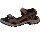 ECCO Offroad Herren espresso/cocoa 43