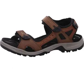 ECCO Offroad Herren espresso/cocoa 43